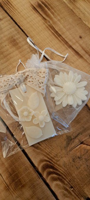 Les SUSPENSIONS PARFUMEES