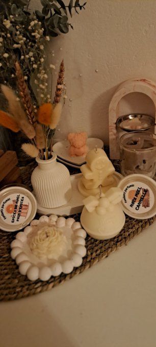 Collection AUTOMNE/NOEL